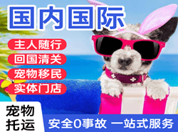 义勒力特机场快递国际宠物托运 【国